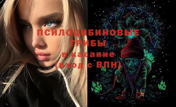 mdpv Арсеньев