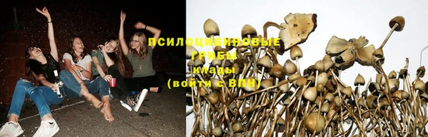 хмурый Наволоки