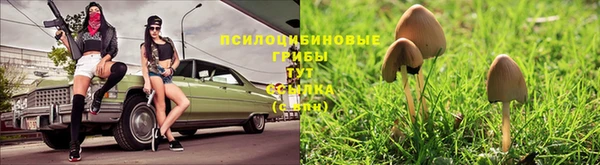 индика Балабаново
