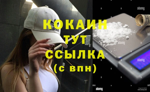 mdpv Арсеньев