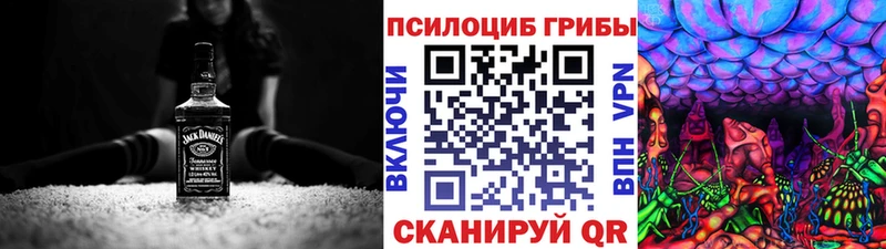мега ONION Мурманск Псилоцибиновые грибы Cubensis