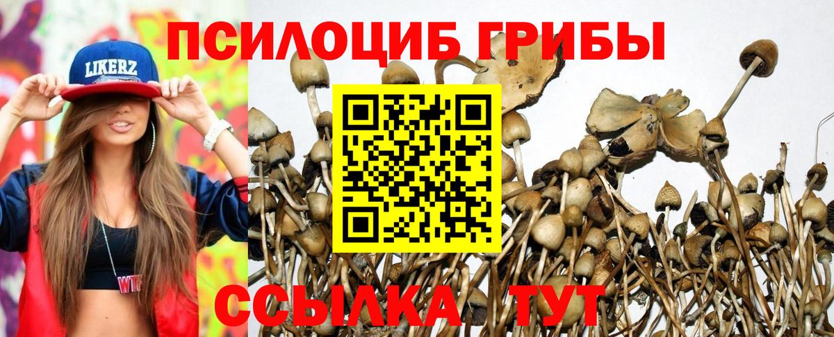 Мурманск  Псилоцибиновые грибы MAGIC MUSHROOMS  купить  цена  Вход с VPN 