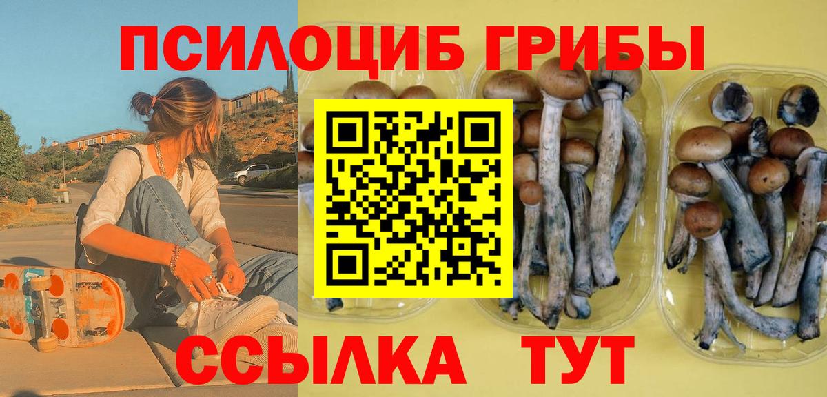 Псилоцибиновые грибы мухоморы Мурманск