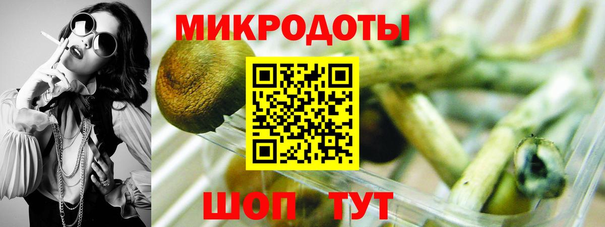 Лсд 25 Мурманск